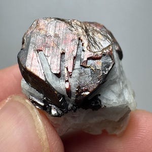 Tantalit 77 karat sällsynt rödterminerad kristall naturligt samlarmineralprov från Afghanistan