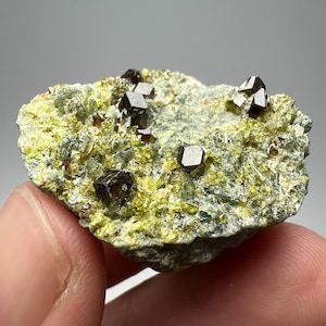 Andradit granat 83 karat kristallkluster med vesuvianitdiopsid samlarmineralprov från Afghanistan
