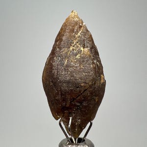 Könnte beinhalten: Ein roher, tropfenförmiger, bernsteinfarbener Edelstein mit strukturierter Oberfläche. Der Edelstein ist auf einem silbernen Metallständer montiert, der seine natürliche Form und Farbe zeigt. Der Stein hat eine spitze Spitze und ein raues, organisches Aussehen.