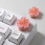 Keyboard Accessories