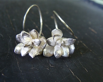 Purslane Rosette Hoops -- Botanical Jewelry -- Nature Cast -- Ready to Ship