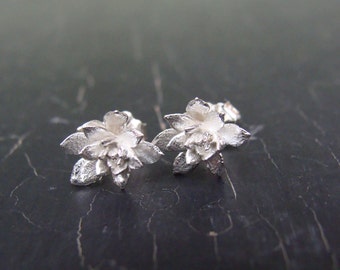 Small Field Flowers Nature Cast Post Earrings -- Nature Cast Botanical Jewelry -- Silver Succulents -- Ready to Ship