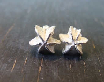 Star Seedpod Post Earrings, Botanical Jewelry, Nature Cast, Ready to Ship