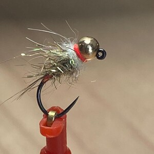 original sarchina 01 (10 PIECES)