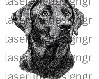 May include: Black and white illustration of a Labrador Retriever dog's head. The dog is looking to the right and has a serious expression.