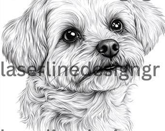 Op de afbeelding: Een zwart-witte lijntekening van een kleine, pluche hond met grote, ronde ogen. De hond kijkt omhoog en naar rechts, met zijn tong lichtjes uitstekend.