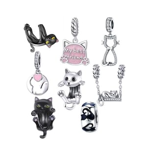May include: A collection of silver cat-themed charms. The charms feature various cat designs, including a black cat, a cat on a swing, and a charm with the text "My best friend". Some charms have pink accents.
