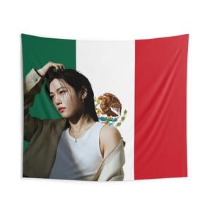 Skz Felix Visuals Mexican Flag, Stray Kids Concert Banner, SKZ Kpop Banner, Stray Kids Ate, Skz DominAte, Stray Kids 2025