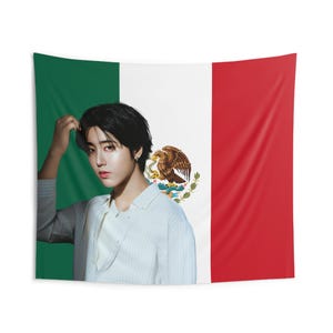 Han Jisung Visuals Mexican Flag, Stray Kids Concert Banner, SKZ Kpop Banner, Stray Kids Ate, Skz DominAte, Stray Kids 2025