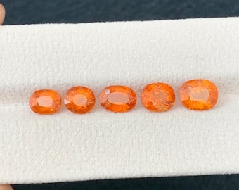 May include: Five oval-cut, vibrant orange gemstones arranged in a horizontal row. Each stone features a faceted surface that reflects light, showcasing a consistent bright orange hue and a clear, transparent quality across all five individual pieces.