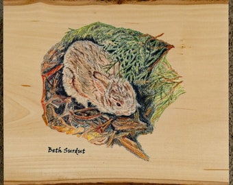 Desert bunny drawing on wood
