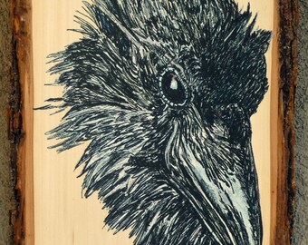Raven Head drawing on wood