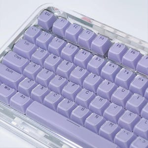 May include: A close-up of a mechanical keyboard with light purple keycaps. The keyboard has a clear, transparent frame. The keycaps are arranged in a standard QWERTY layout, with function keys and number keys visible.