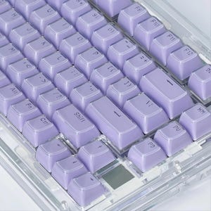 May include: Close-up of a mechanical keyboard with light purple keycaps. The keyboard has a clear, transparent frame. The keycaps are arranged in a standard QWERTY layout, with various function keys and symbols visible.