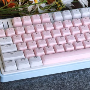 May include: A pastel-colored mechanical keyboard with a light blue frame and pink keycaps. The keys are arranged in a standard layout with white and pink lettering. The keyboard is designed for computer use.