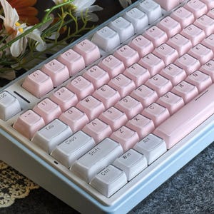 May include: A pastel-colored mechanical keyboard with pink and white keycaps. The keyboard has a light blue frame and a pink space bar. The keys are arranged in a standard QWERTY layout. Decorative flowers are in the background.