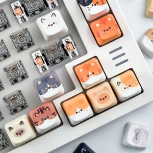 K&ouml;nnte beinhalten: Nahaufnahme einer wei&szlig;en Tastatur mit individuellen Tastenkappen mit Katzenmotiven in verschiedenen Farben. Die Tastenkappen sind orange, wei&szlig;, grau und beige. Transparente mechanische Tastaturschalter sind ebenfalls sichtbar.
