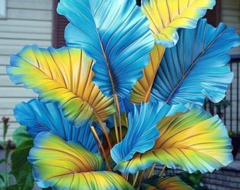 Geelblauwe olifantenoorbellen – tropische schaduwplant voor in de tuin en in potten