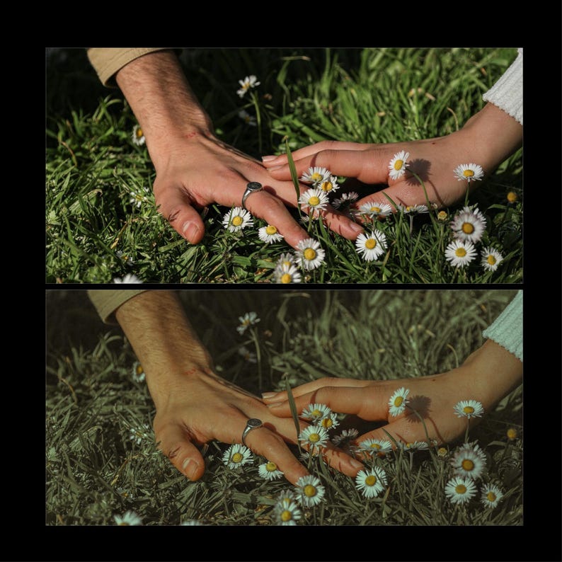 May include: Two hands reach out to touch a field of white daisies. The hands are wearing silver rings.