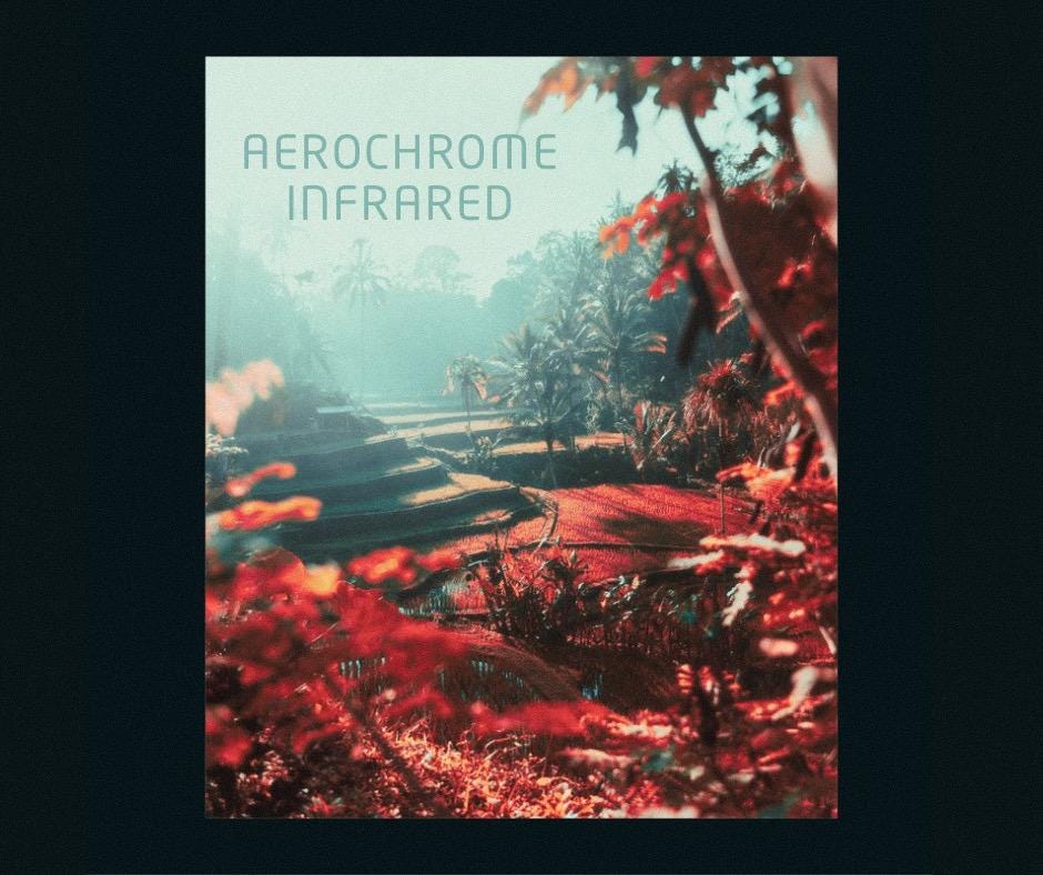 Aerochrome Lightroom Presets: Vintage Infrared Film Effects (DNG & XMP)