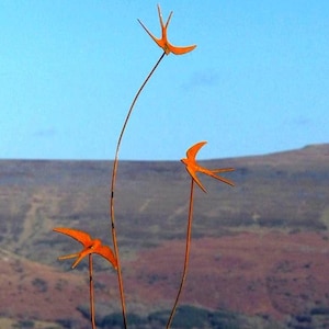 May include: Three orange metal birds on thin metal stems against a blurred background of a hillside.