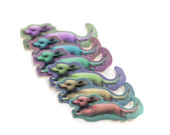 Rainbow Doxie Sticker Set - 6 vinyl Doxie stickers by Mab Graves