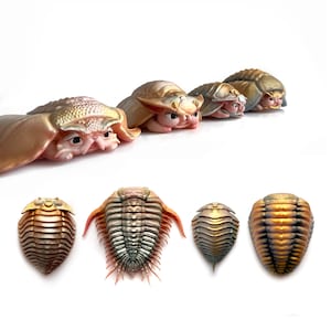 Purrilobites- Set of four hand painted original Dinokitty art pieces - signed and numbered edition of 20- original art toys- by Mab Graves