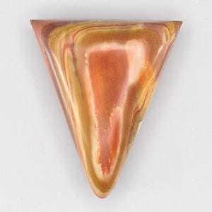 Petrified Wood Designer Cabochon