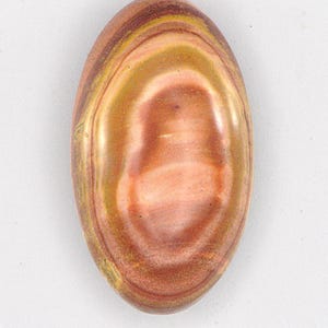 Petrified Wood Designer Cabochon
