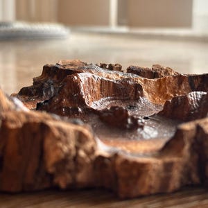 May include: A handcrafted, wooden decorative bowl with a unique, textured surface. The bowl is carved from a rich, dark brown wood, featuring a rugged, organic shape reminiscent of a miniature landscape. The bowl's interior has a smooth, dark finish.
