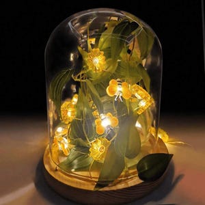 Bee and Sunflower Fairy Lights, USB Battery Powered, 30 LED