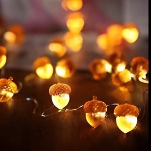 Decorative Fairy Acorn Mini String Lights 2D Thanksgiving Decoration Autumn Garland Cute Novelty Lights LEDs Battery-10led/20led/30led/50led