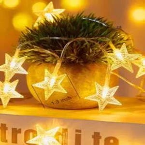 Puede incluir: Una cadena de luces de hadas en forma de estrella de color blanco cálido, cada una de 3,3 cm de diámetro, ilumina una pequeña planta en maceta. Las luces están ensartadas en un cable transparente, creando una exhibición festiva y decorativa. La maceta es de color amarillo claro.