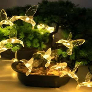 May include: String of clear hummingbird-shaped lights illuminating a small bonsai tree. The lights are arranged to appear as if the hummingbirds are in flight, creating a whimsical and decorative display. The tree is in a dark brown pot.