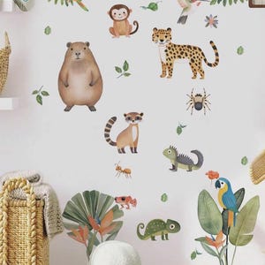 Puede incluir: Un conjunto de pegatinas de pared con temática de selva que incluye un mono, un leopardo, un capibara, un lémur, una iguana, un camaleón, una araña, una hormiga, un colibrí y loros, rodeados de hojas de palmera tropicales y flores.