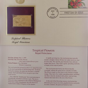 Puede incluir: Un sello postal estadounidense con una imagen dorada de una flor de flamboyán real. El sello está titulado "Tropical Flowers Royal Poinciana" y tiene la fecha "May 1, 1999" impresa en él. El sello está rodeado por un borde rojo.
