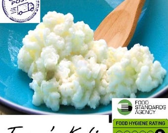 May include: A pile of white, cauliflower-like kefir grains sits in a bright turquoise bowl with a wooden spoon. The image includes text reading 1st Class Post, Tassu's Kefir, and a Food Standards Agency Food Hygiene Rating of 5 Very Good.