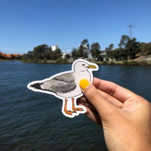Seagull Sticker