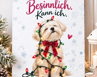 Maltese Maltipoo tin sign Christmas, Christmas gift for dog lovers, funny Christmas decoration with dog "I can be contemplative"