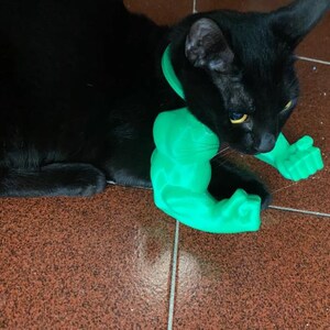 May include: A black cat wearing a bright green plastic accessory that features two large, muscular arms with clenched fists. The accessory is attached to a green collar that fits around the cat's neck, creating the appearance of muscular limbs.