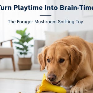 May include: A golden retriever dog is shown indoors, interacting with a yellow mushroom-shaped toy. The image includes text that reads "Turn Playtime Into Brain-Time!" and "The Forager Mushroom Sniffing Toy."