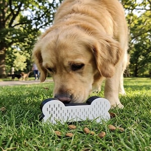May include: A golden retriever dog sniffs a white and black bone-shaped dog toy on a grassy lawn. Several brown dog food pieces are scattered around the toy. The background shows a park with trees and a bench.