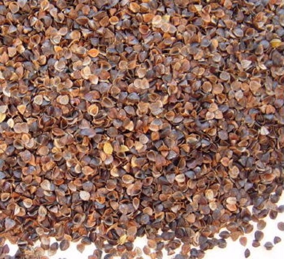 buckwheat filler