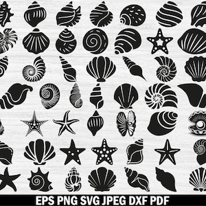 May include: A collection of black and white illustrations featuring seashells and starfish. The image showcases diverse shell designs and starfish shapes. The text at the bottom reads: EPS PNG SVG JPEG DXF PDF.