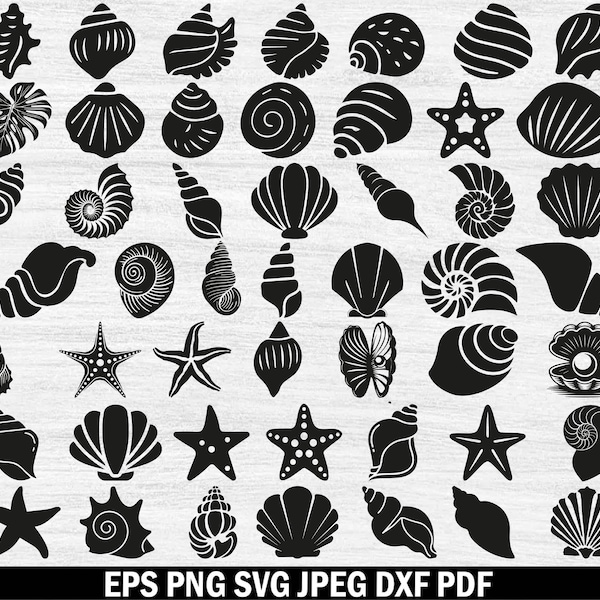 Shelline Svg Seashell Svg - Etsy