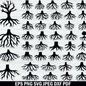 Op de afbeelding: Zwarte boomwortel silhouetten in verschillende maten en oriëntaties zijn gerangschikt op een witte achtergrond. De afbeelding bevat een volledig boom silhouet en meerdere wortel ontwerpen. De onderkant van de afbeelding bevat de tekst: EPS PNG SVG JPEG DXF PDF.