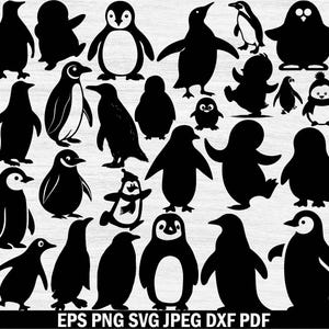 Penguin Svg Bundle , Penguin Png Bundle , Penguin Clipart , Penguin Svg Cut Files for Cricut , Penguin Silhouette , Penguin Cut Files