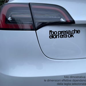 l'ho presa che elon era ok – Adesivo per auto elettrica Tesla – Sticker decal vinile – Impermeabile –  frasi irriverenti
