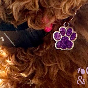 May include: A close-up of a dog wearing a black collar with the text "fi" on it. The dog is wearing a purple paw print charm with glitter on a silver chain.