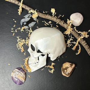 Puede incluir: Un cráneo de cerámica blanca con una estructura anatómica detallada, rodeado de varias piedras, incluyendo una rosa, una marrón, una blanco y negro y una púrpura y marrón. El cráneo está sobre una superficie negra con una rama marrón y musgo seco.
